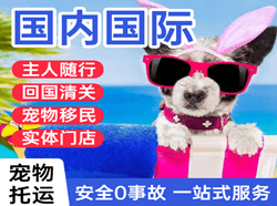 临沂机场货运国际宠物托运 【国